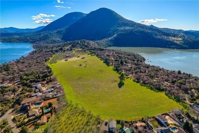 Lake Acreage For Sale in Kelseyville, California