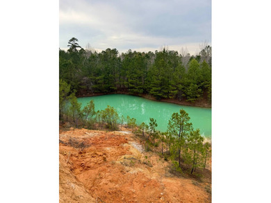 Located in Kemper County, Mississippi, this 42.5+/- acre tract - photo 1