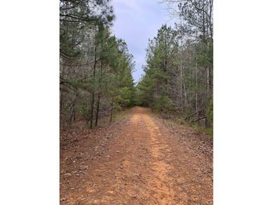 Located in Kemper County, Mississippi, this 42.5+/- acre tract - photo 2