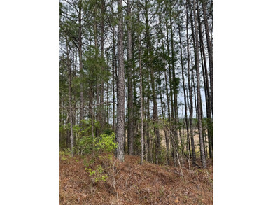 Located in Kemper County, Mississippi, this 42.5+/- acre tract - photo 3