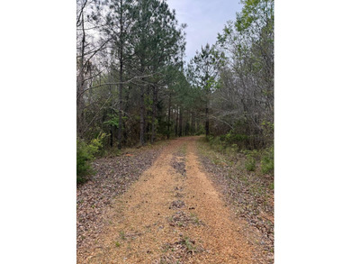 Located in Kemper County, Mississippi, this 42.5+/- acre tract - photo 9