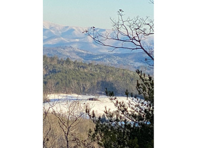 This remarkable UNRESTRICTED property spans over 17 acres in - photo 12
