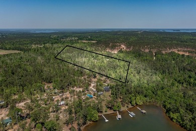 Rare Dockable 11 Acre Waterfront Property on Clarks Hill Lake - - photo 1
