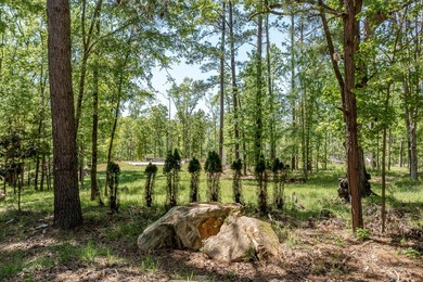 Rare Dockable 11 Acre Waterfront Property on Clarks Hill Lake - - photo 3