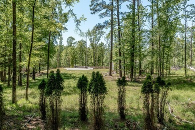 Rare Dockable 11 Acre Waterfront Property on Clarks Hill Lake - - photo 4