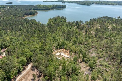 Rare Dockable 11 Acre Waterfront Property on Clarks Hill Lake - - photo 9