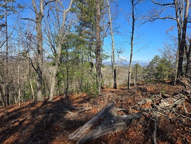 This remarkable UNRESTRICTED property spans over 17 acres in - photo 39