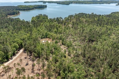 Rare Dockable 11 Acre Waterfront Property on Clarks Hill Lake - - photo 10