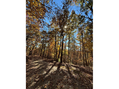 This remarkable UNRESTRICTED property spans over 17 acres in - photo 40