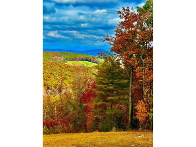 This remarkable UNRESTRICTED property spans over 17 acres in - photo 50