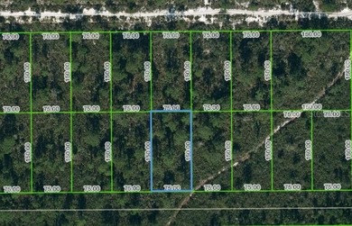 Lake Istokpoga Lot For Sale in Lake Placid Florida