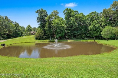 SECLUDED COUNTRY RETREAT ON 2 ACRES IN BYHALIA! Welcome to 186 - photo 29