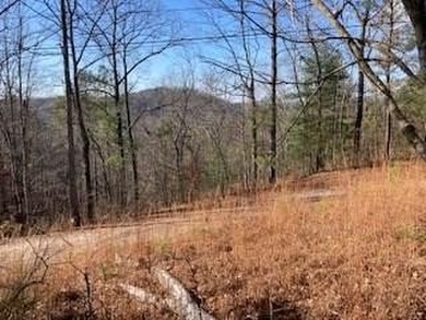 Coosawattee River Lot For Sale in Ellijay Georgia