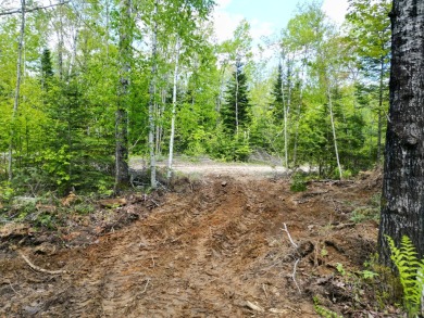 Lake Acreage For Sale in Lee, Maine