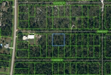 Lake Istokpoga Lot For Sale in Lake Placid Florida