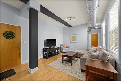 Welcome to Franklin Lofts in the heart of Ohio City's vibrant - photo 4