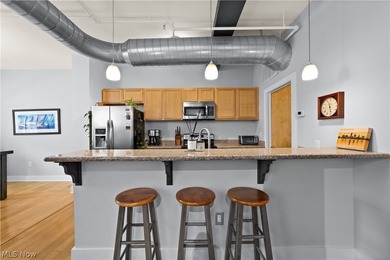 Welcome to Franklin Lofts in the heart of Ohio City's vibrant - photo 8