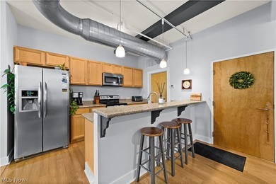 Welcome to Franklin Lofts in the heart of Ohio City's vibrant - photo 9