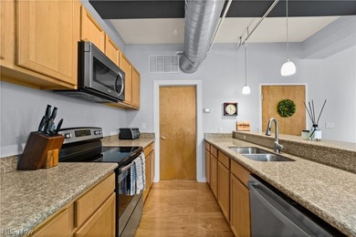 Welcome to Franklin Lofts in the heart of Ohio City's vibrant - photo 10