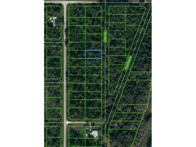 Lake Istokpoga Lot For Sale in Lake Placid Florida