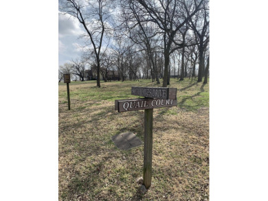 Lake Lot For Sale in Afton, Oklahoma