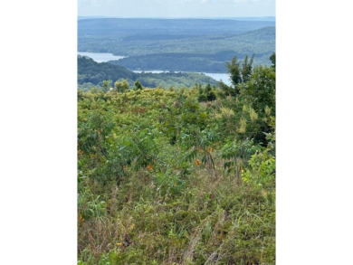 Lake Acreage For Sale in Bee Branch, Arkansas