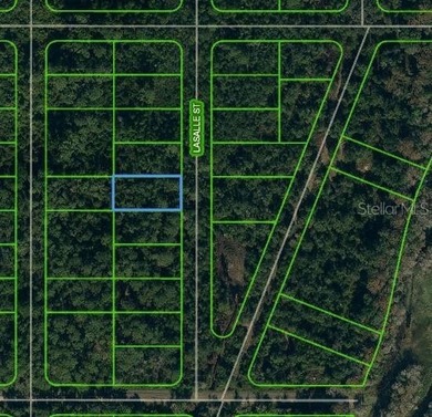 Lake Istokpoga Lot For Sale in Lake Placid Florida