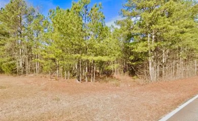 Lake Lot For Sale in Villa Rica, Georgia
