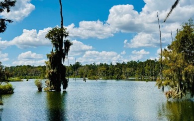 Corbett Estate Pond Lot For Sale in Jennings Florida