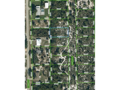 Lake Istokpoga Lot For Sale in Lake Placid Florida