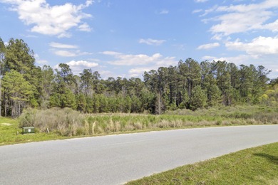 (private lake, pond, coastal) Acreage Active Under Contract in Moncks Corner South Carolina