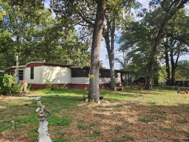 Lake Home For Sale in Mabank, Texas