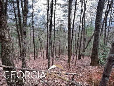 Lake Lot Sale Pending in Ellijay, Georgia