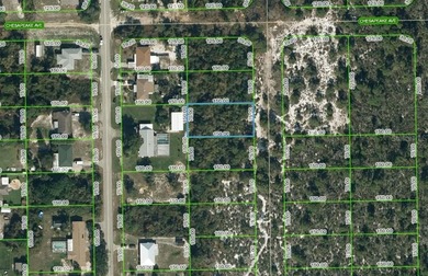 Lake Istokpoga Lot For Sale in Lake Placid Florida