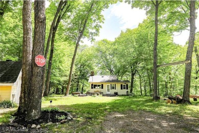 Lake Home Sale Pending in Nessel Twp, Minnesota