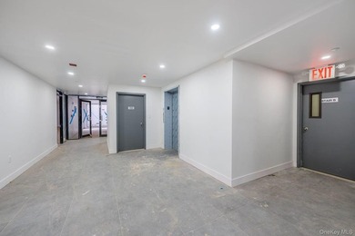 Brand New 2025 Luxury Condominium 16 units 11 Community Facility - photo 41