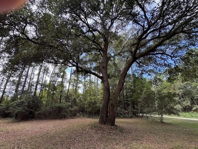 McCLELLANVILLE - Discover an extraordinary seaside country - photo 49