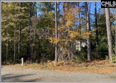 Are you ready to build your perfect home on Lake Murray? Have - photo 3