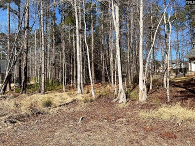 Are you ready to build your perfect home on Lake Murray? Have - photo 6