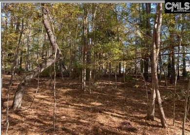 Are you ready to build your perfect home on Lake Murray? Have - photo 7