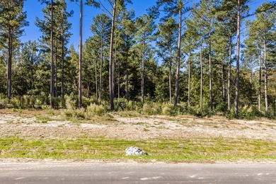 Welcome to Appling, Georgia's premier new luxury community! This - photo 5