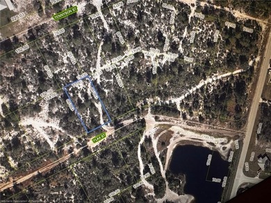 Build your dream home in Lake Placid, Florida or Invest for the - photo 2