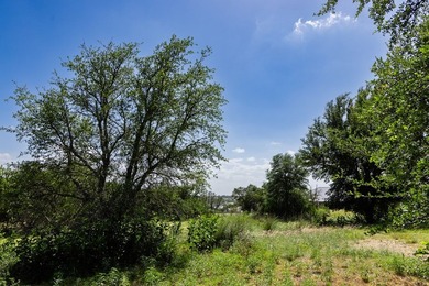 This exceptional Southwest facing single-family lot, featuring - photo 3