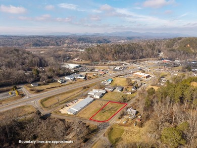 Cartecay River Commercial For Sale in East Ellijay Georgia