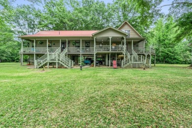Lake Home For Sale in Pickensville, Alabama