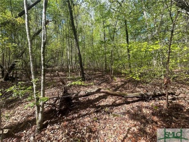 Lake Lot For Sale in Martin, Georgia