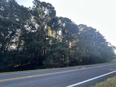 Discover the potential of this beautiful 6-acre tract on - photo 3