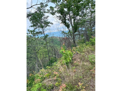 Opportunity Knocks to own this 88.41 acre parcel close to - photo 1