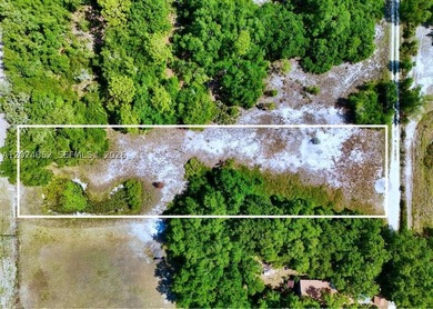 Lake Weohyakapka Lot For Sale in Lake Wales Florida