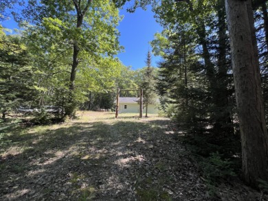 Big Pine Inn is nestled in a lovely setting of Oaks and Pines on - photo 3
